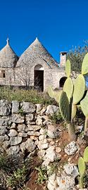 Esclusivo investimento: trulli di pregio e uliveto