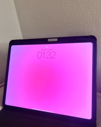 iPad Pro 13” M4 256GB Wi-Fi + Cellular – Come nuov