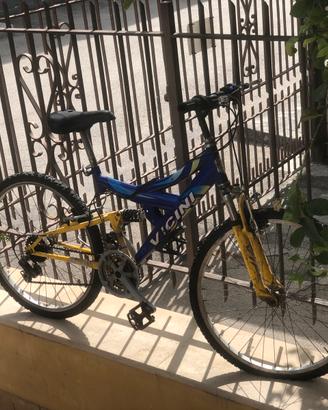 BICI VICINI