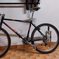 mtb wheeler
