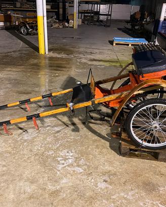 Carrozzini per cavallo grosso