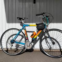 Bici da città -corsa Mass V01