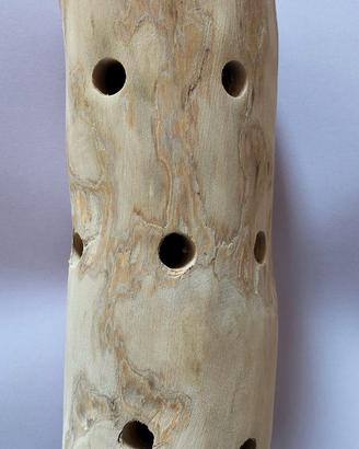 Gioco in legno per pappagalli