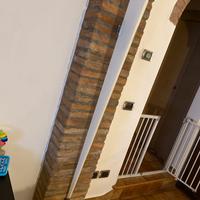 Studio italia design