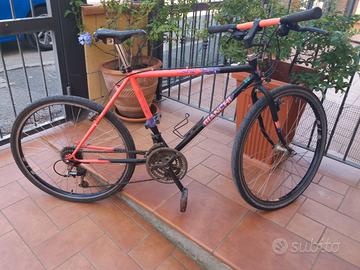 Mountain bike