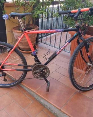 Mountain bike