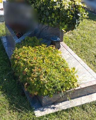 struttura tombale  in granito