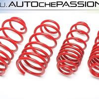 Kit molle sportive Ta Tecnix per Seat Ibiza 6L 02 