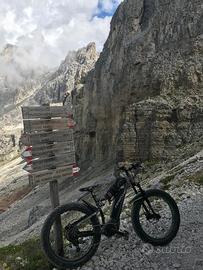 Fat bike