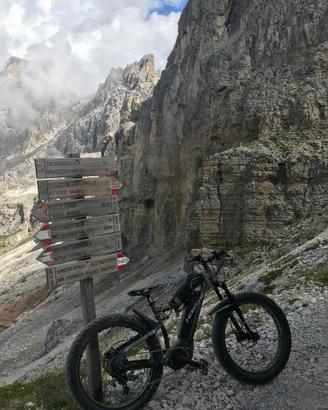 Fat bike