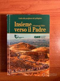 Insieme verso il Padre Guida preg. del pellegrino