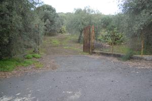 TERRENO Agricolo 8.600 mq a Belpasso
