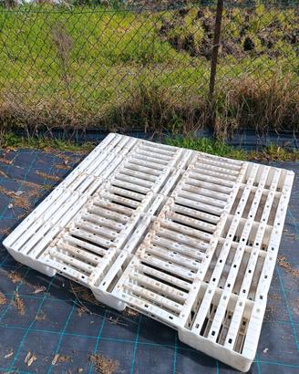 Bancale in plastica 100 cm x 120 cm