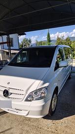 Mercedes vito trasporto cani 