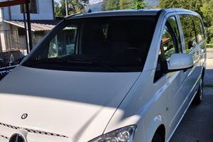 Mercedes vito trasporto cani 
