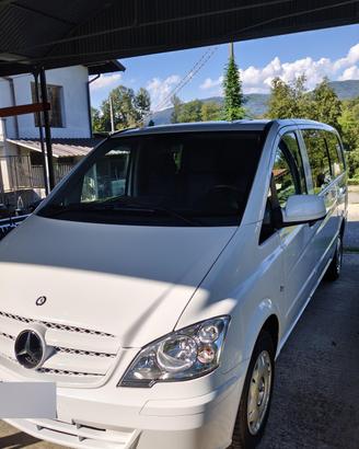 Mercedes vito trasporto cani 