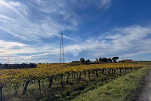 TER. AGRICOLO A ARDEA