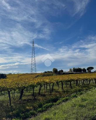 TER. AGRICOLO A ARDEA