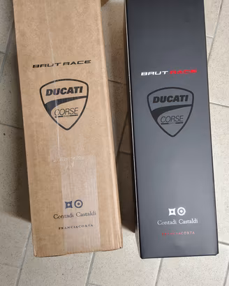 ducati brut race