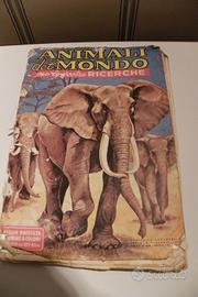Album figurine animali 1970 Album dell'Arte