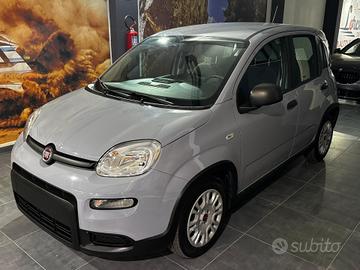Fiat Panda 1.0 FireFly S&S Hybrid 70cv KM 20'277