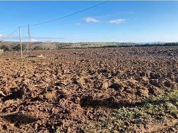 RGE 42/2024 Trib ENNA