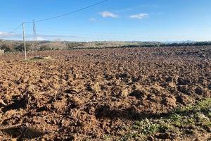 RGE 42/2024 Trib ENNA