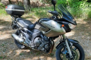 Yamaha TDM 900 anno 2007