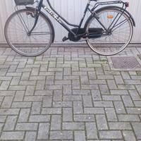 bicicletta da donna 26 pollici 