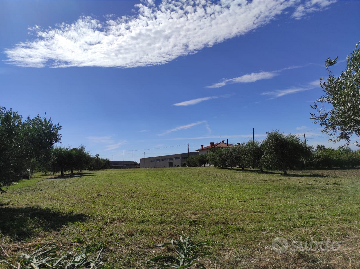 Terreno edificabile Badia di Longiano - Altro