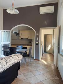 Ampio bilocale con ingresso indipendente