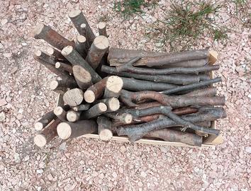 Legna da ardere / Tronchetti secchi