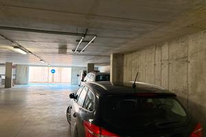 auto ford focus SW