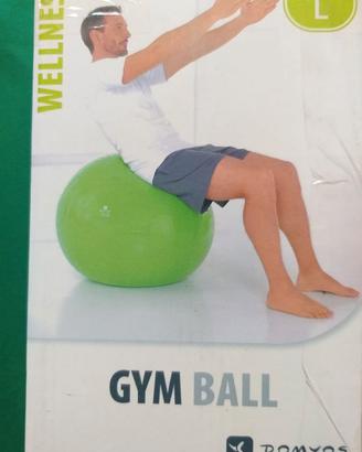 GYM BALL DOMYOS con Pompa di gonfiaggio