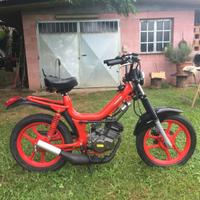 Motron sv3r minarelli p6