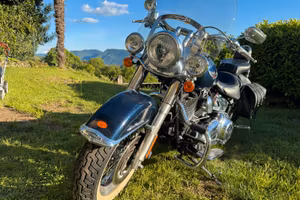 Harley-Davidson 1690 Deluxe ABS