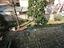 Immagine 11