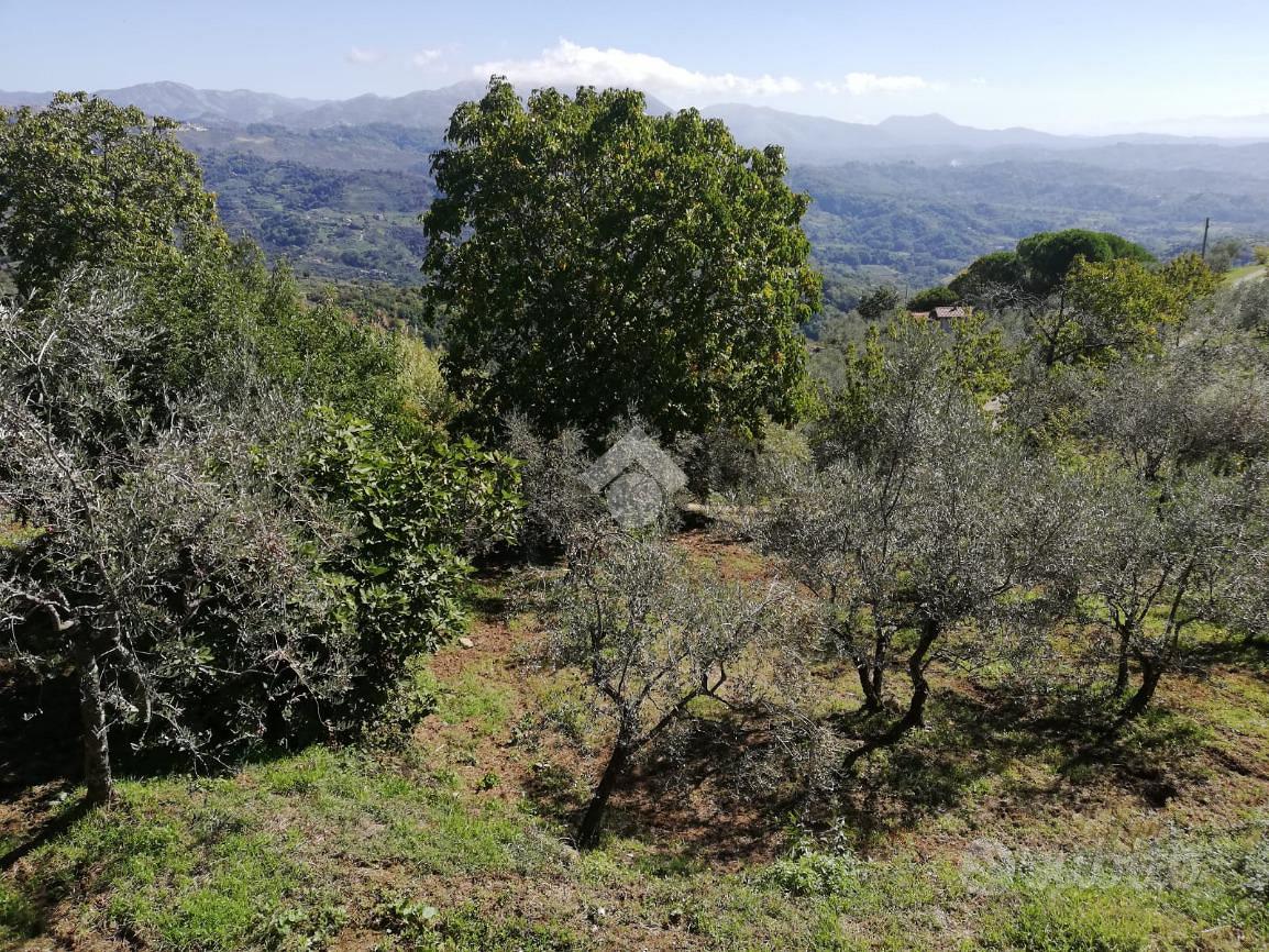 RUSTICO A SAN VITO ROMANO - Vista 3
