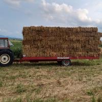 Balle di fieno primo taglio