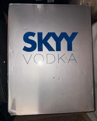 SKYY VODKA - cassa da 6 bottiglie da 1 lt