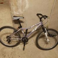 Bicicletta 24'