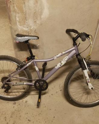 Bicicletta 24'