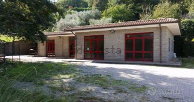 Locale in Via Cardinal Nicolò Ridolfi, 10 Bagnaia