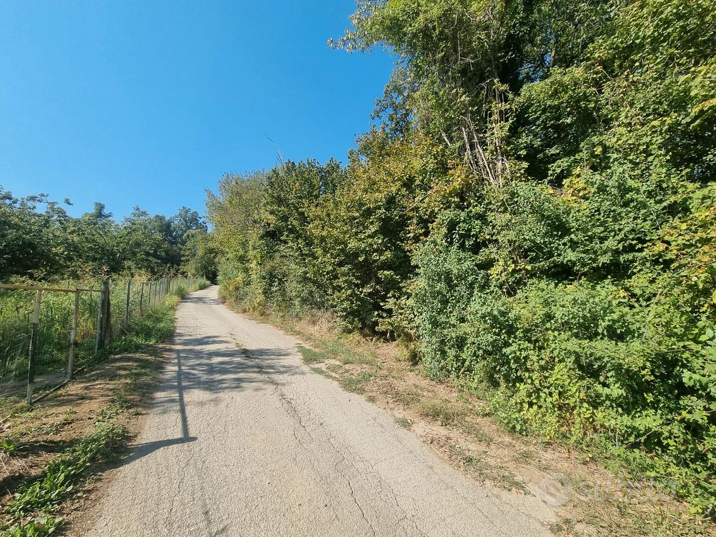 Terreno agricolo di mq. 11.143 semi pianeggiante - Vista 5