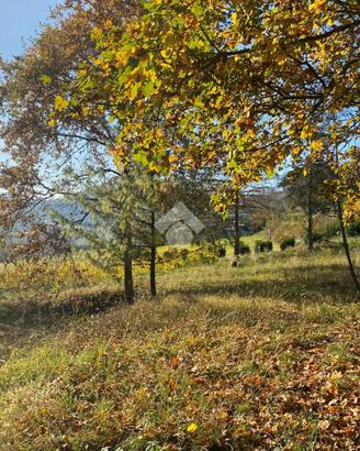 TER. RESIDENZIALE A RIVALBA