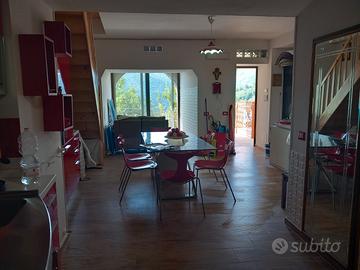 Appart. con B&B Acciaroli Loc.Cannicchio 20 p.let