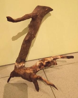 Legno acquario misure in cm H 29 - L 30,5 - P 15