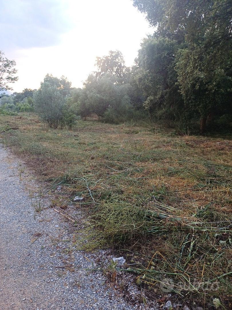 terreno a vibonati - Vista 2