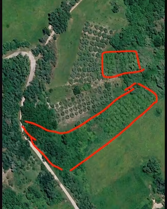 Terreno agricolo + uliveto