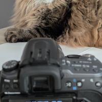 Fotocamera Reflex Sony A550+DT 18-55 F3.5-5.6 SAM